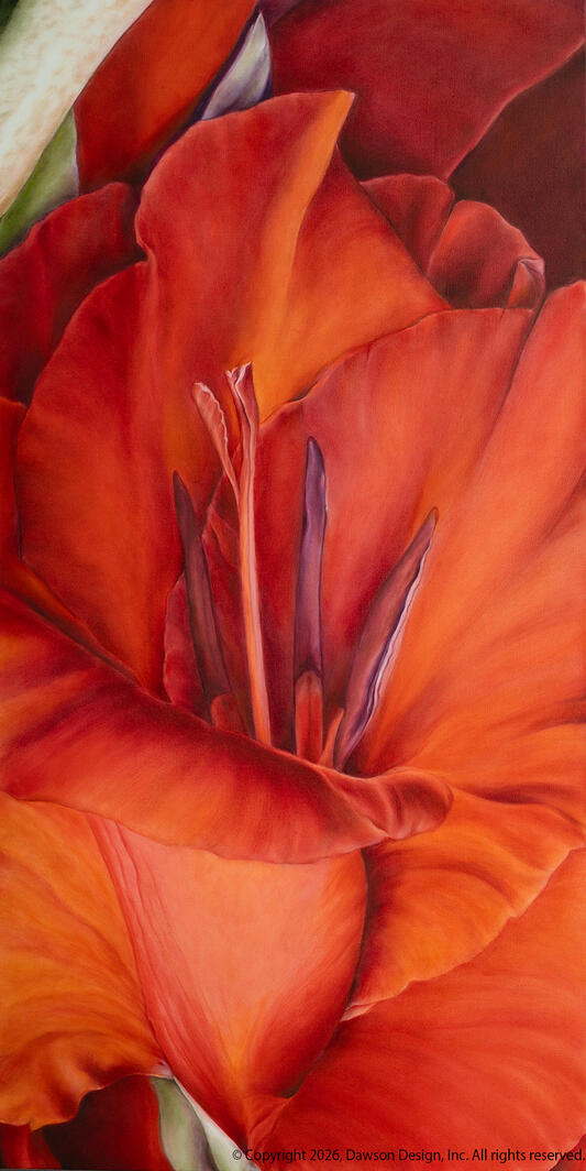 Gladiola, oil on canvas, 24” x 48”, 2025, $7500