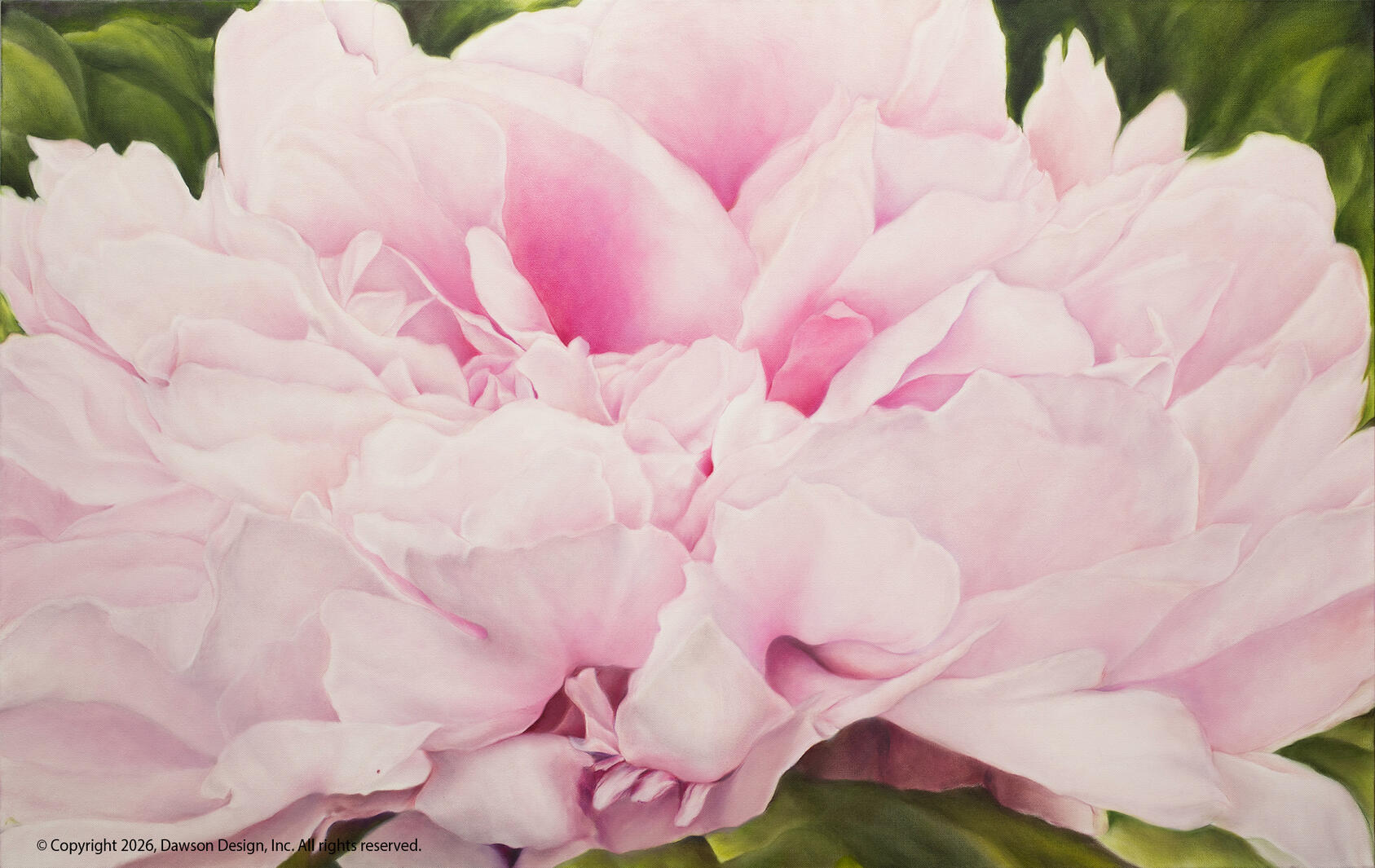 Pink Peony (Simpson Garden Park), oil on canvas, 30” x 48”, 2025, $6000 SOLD
