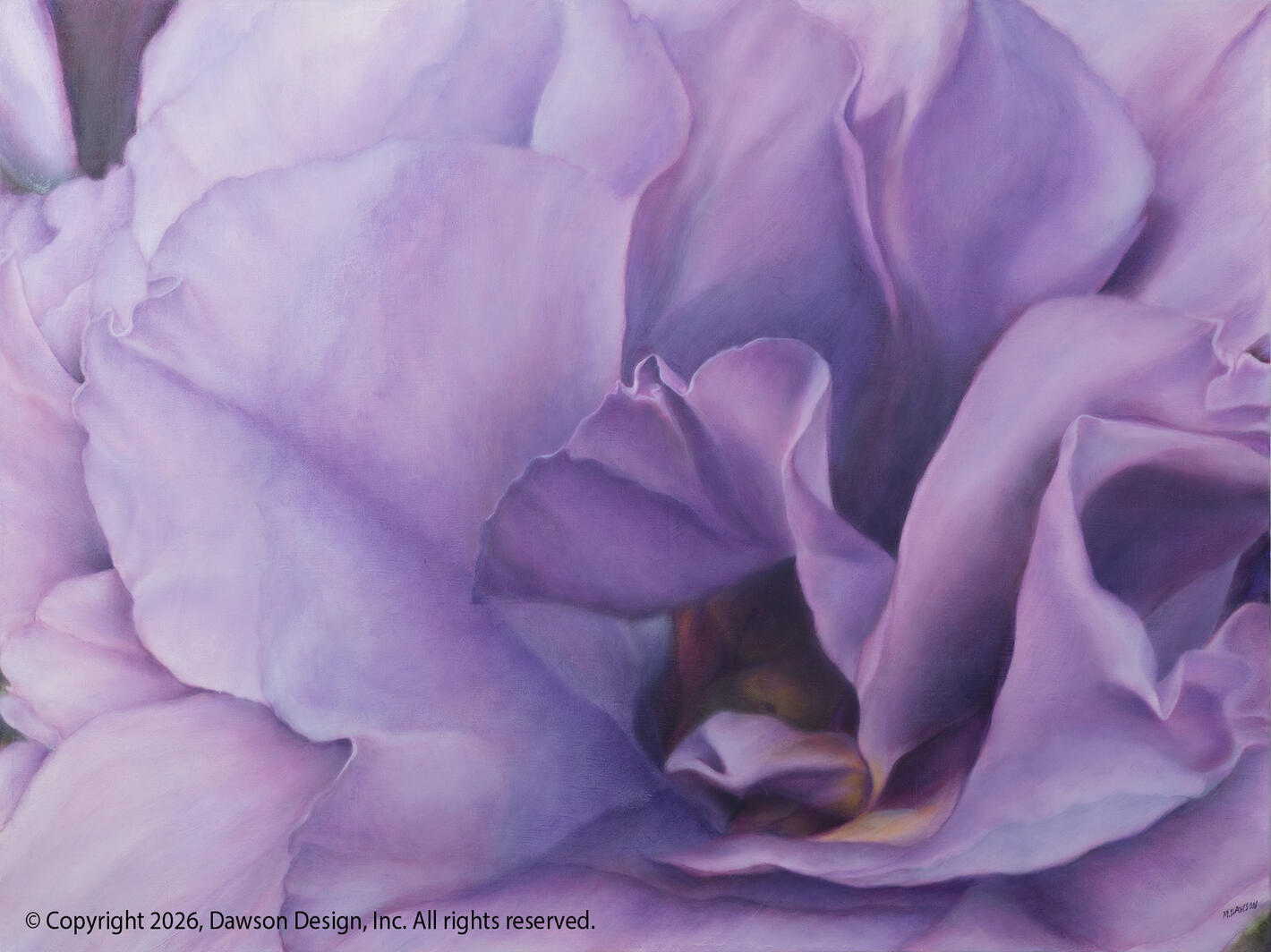 Lavender Rose, oil on canvas, 30” x 40”, 2026, $7000