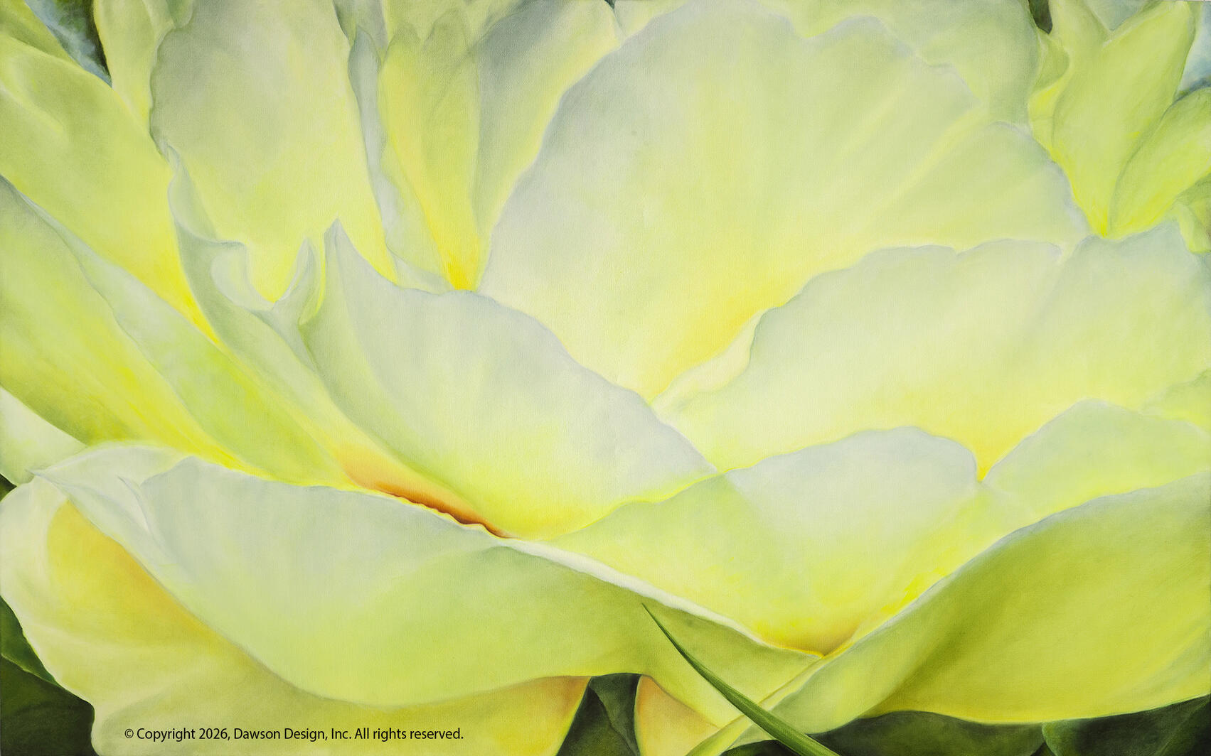 Lotus Peony (Meditation Simpson Garden Park) 30” x 48’’ 2025 $8000