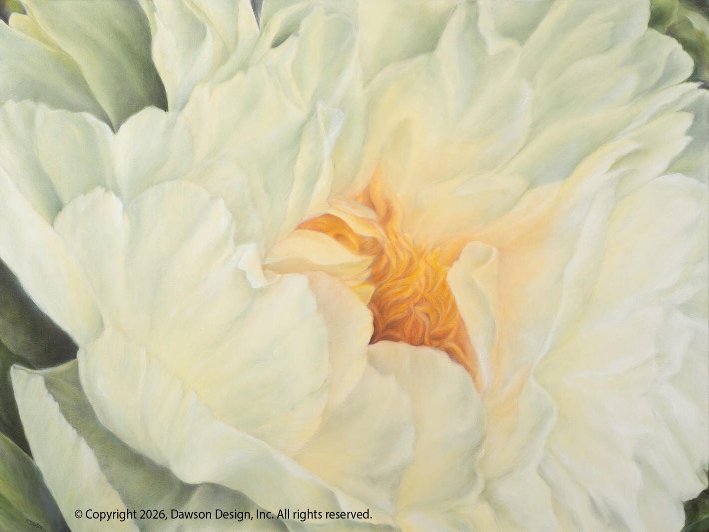 Yellow Peony Unfolding (Simpson Garden Park), oil on canvas, 30” x 40”, 2026, $8000