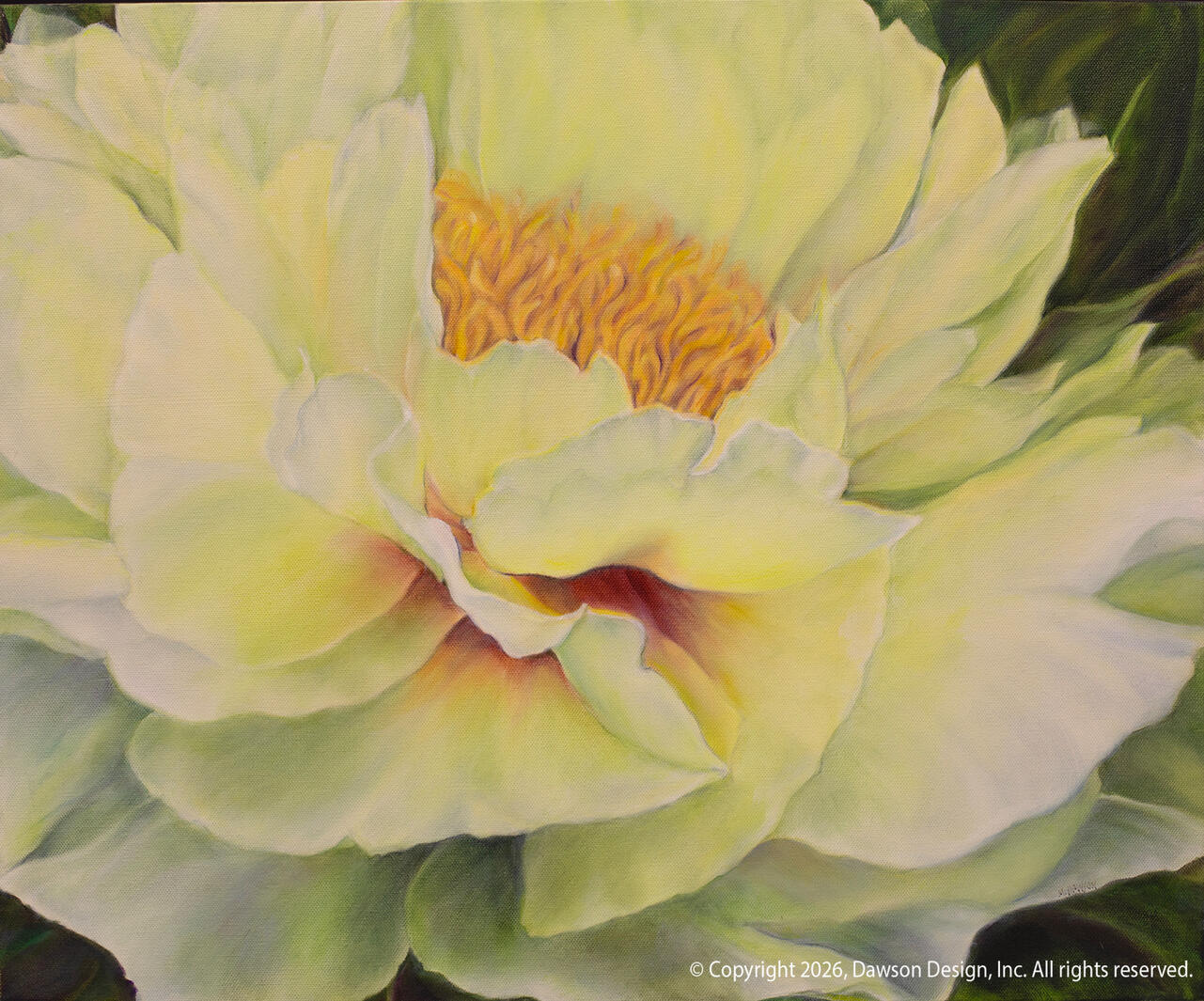 Yellow Peony (Simpson Garden Park), oil on canvas, 20” x 24”, 2024, $5500