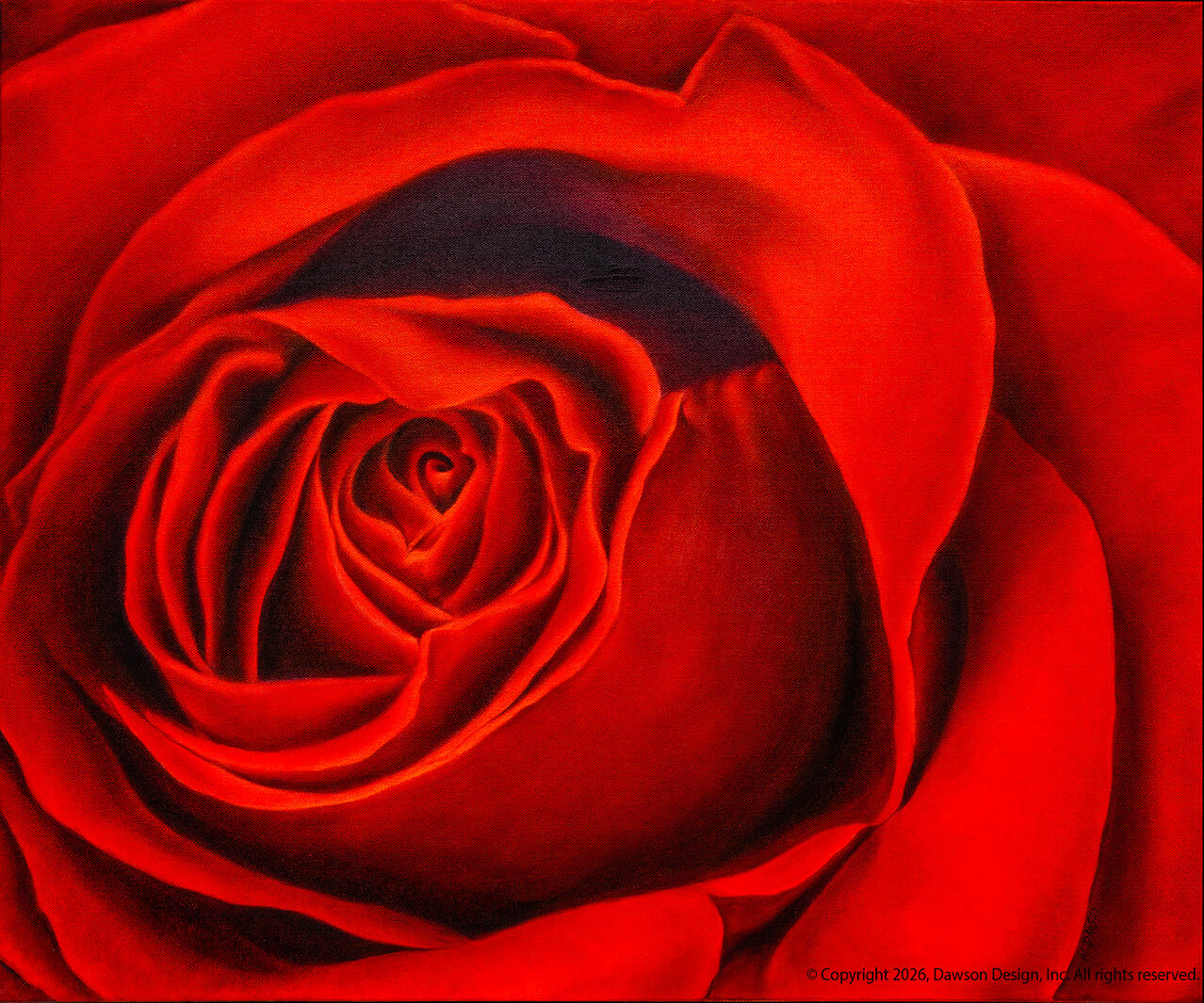 Red Rose III, oil on canvas, 24” x 30”, 2024, $5500