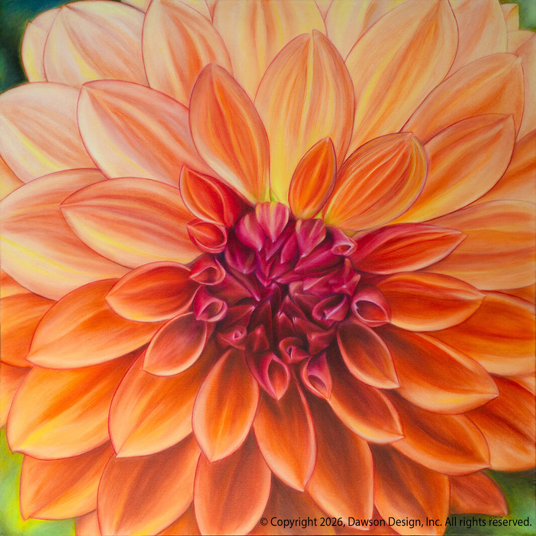Dahlia, oil on canvas, 36” x 36”, 2025, COMMISSION SOLD